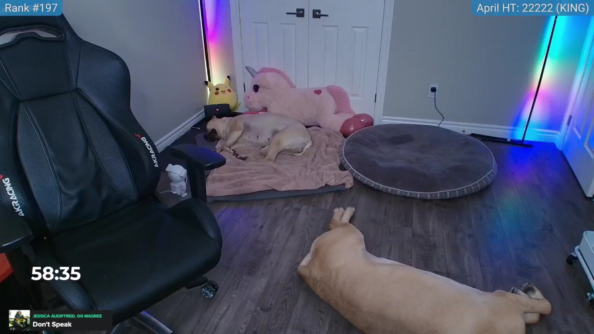 Gallery image thumbnail from HaileeCameron's myfreecams stream on, 04/22/2025, 05:26 image 7 of 20