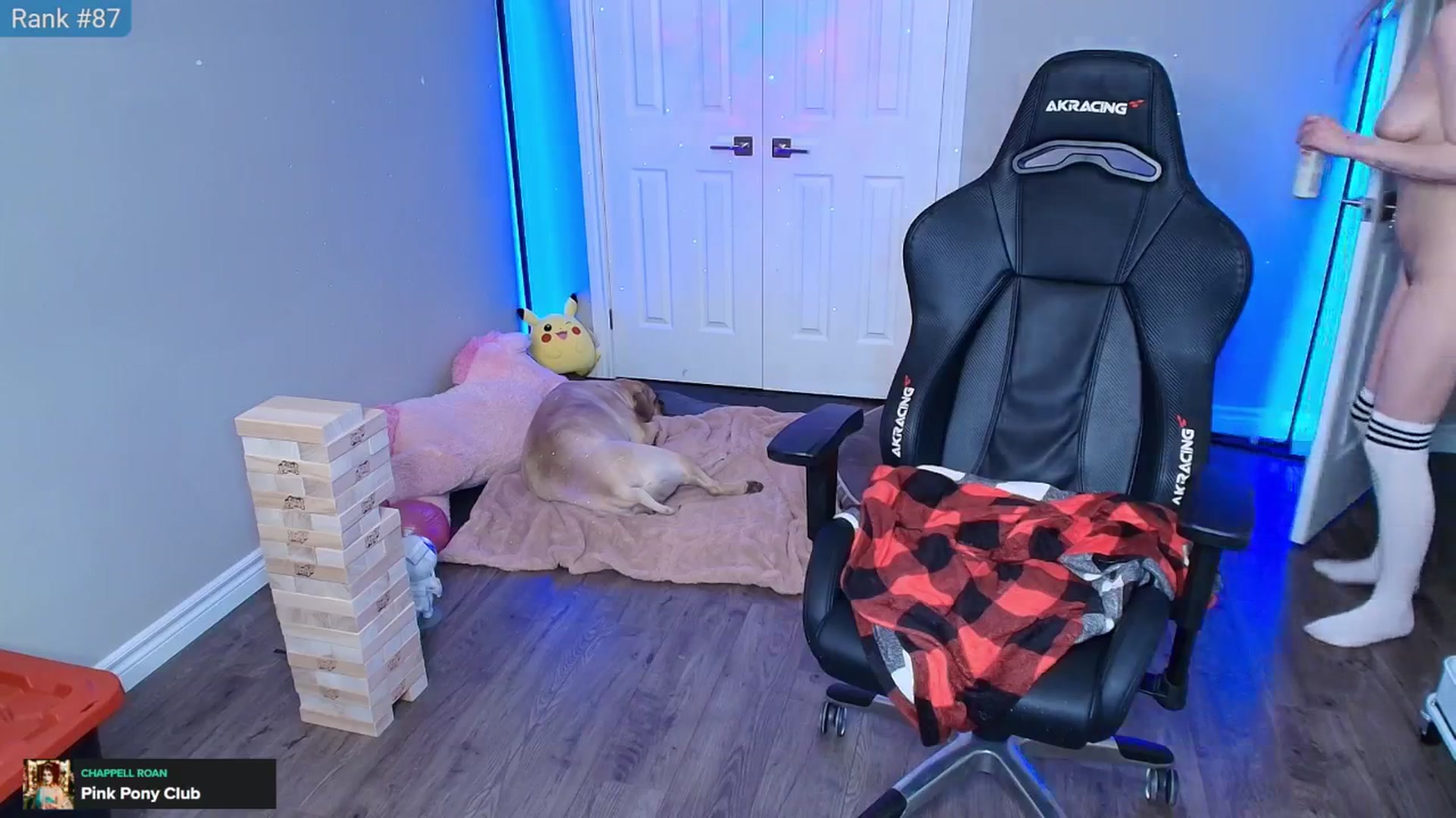 Gallery image thumbnail from HaileeCameron's myfreecams stream on, 05/11/2025, 08:30 image 17 of 20