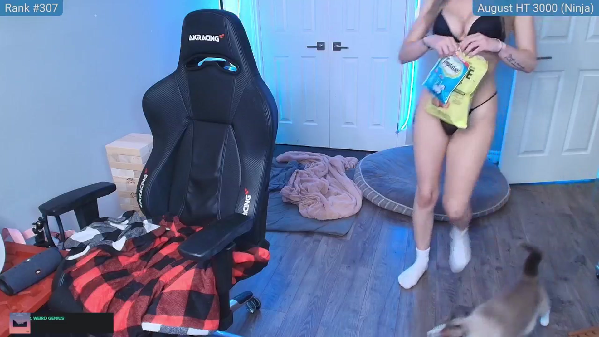 Gallery image thumbnail from HaileeCameron's myfreecams stream on, 08/11/2025, 04:48 image 20 of 20