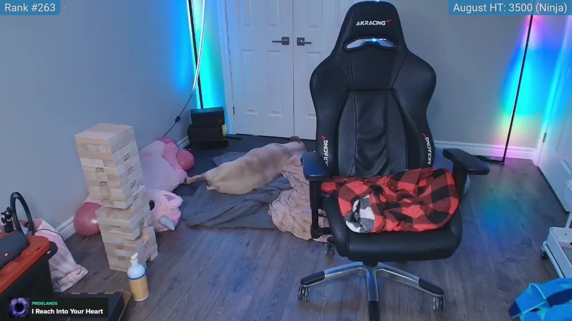 Gallery image thumbnail from HaileeCameron's myfreecams stream on, 08/16/2025, 12:38 image 7 of 20
