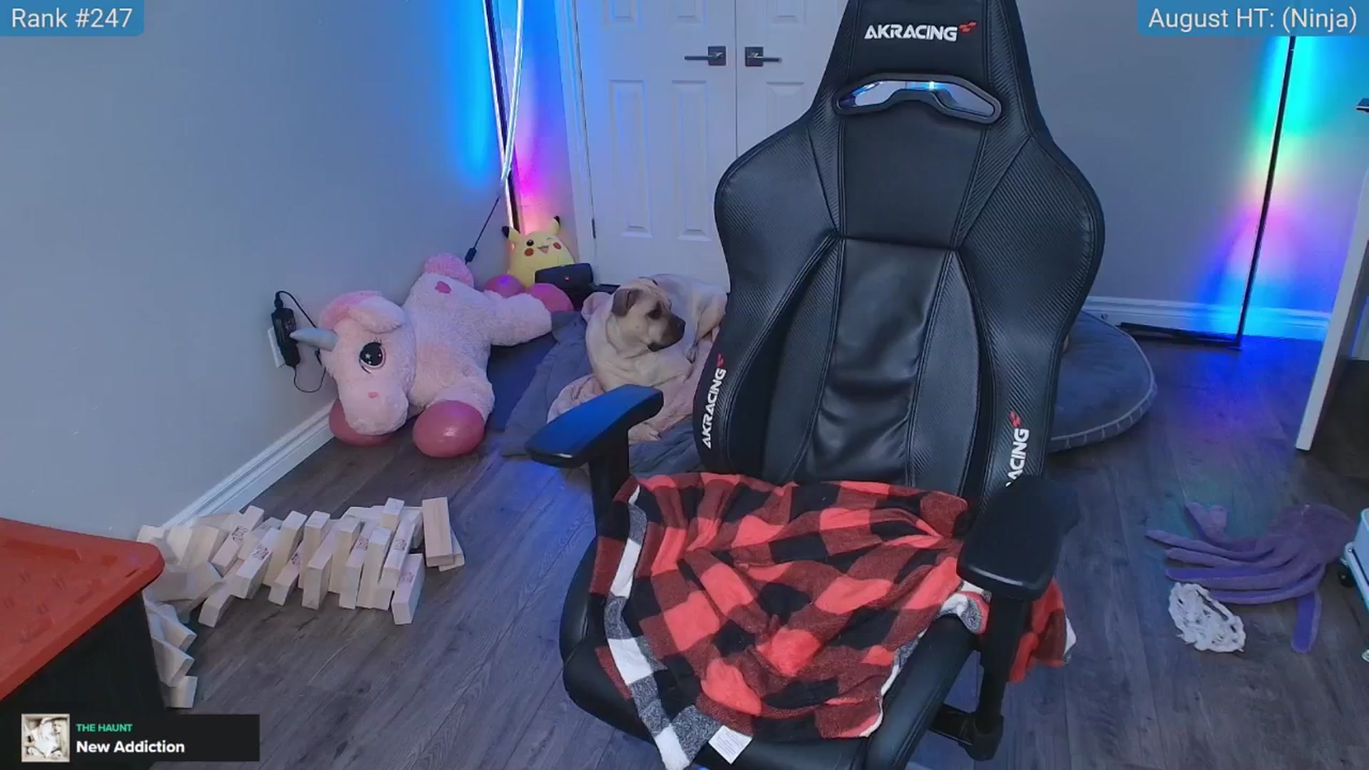 Gallery image thumbnail from HaileeCameron's myfreecams stream on, 08/26/2025, 08:22 image 19 of 20