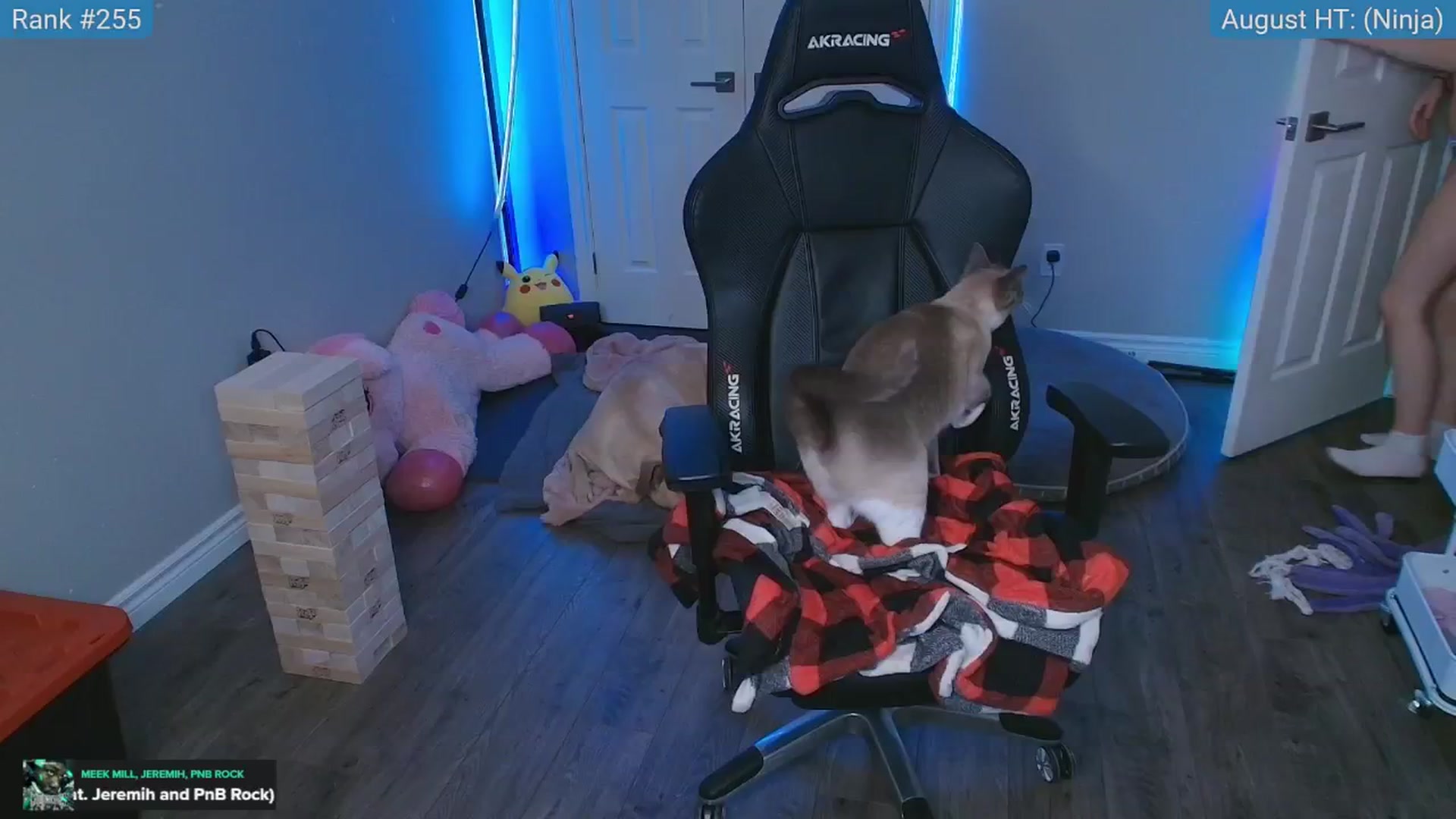 Gallery image thumbnail from HaileeCameron's myfreecams stream on, 08/28/2025, 05:08 image 15 of 20