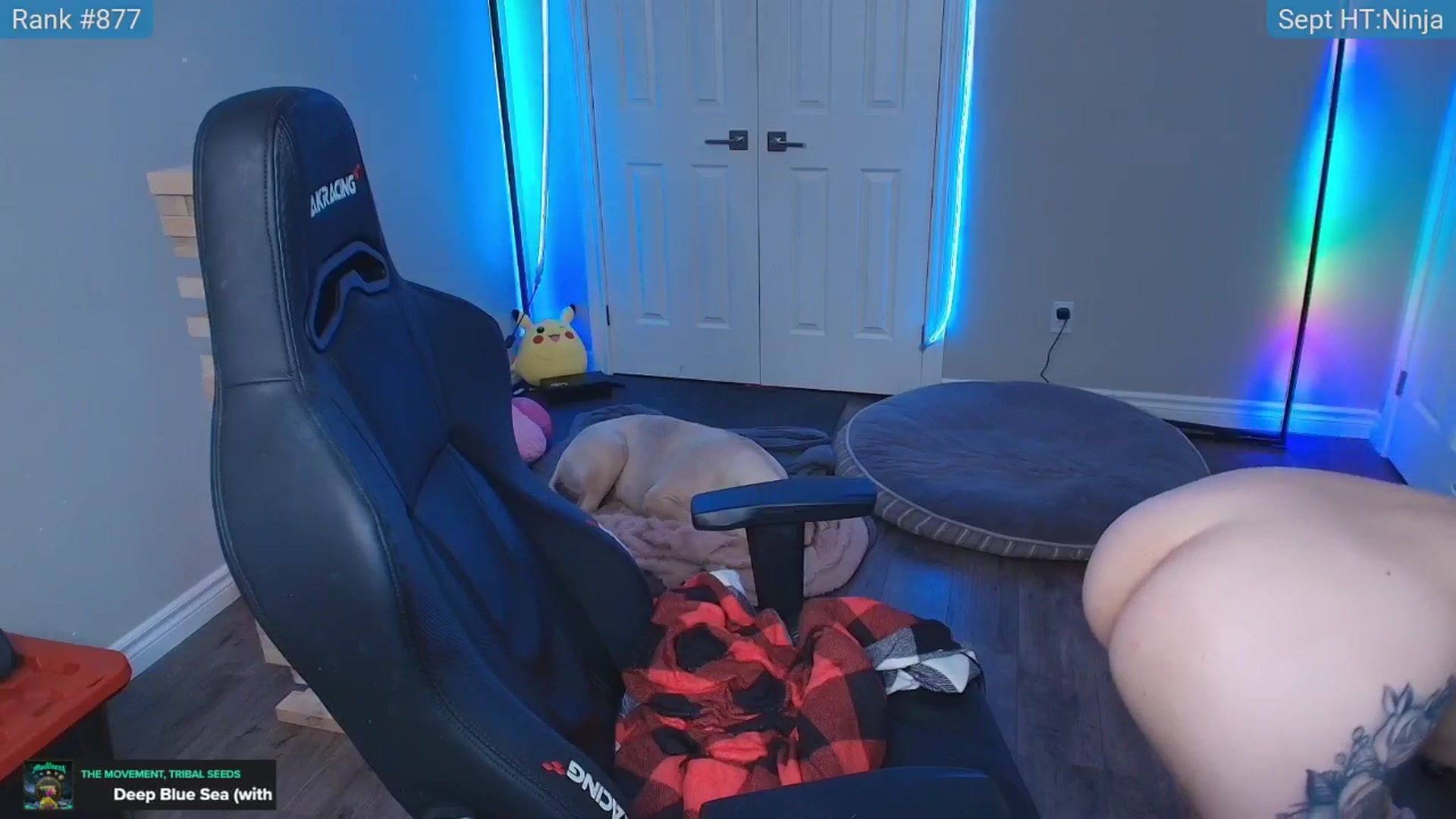 Gallery image thumbnail from HaileeCameron's myfreecams stream on, 09/05/2025, 06:54 image 17 of 20