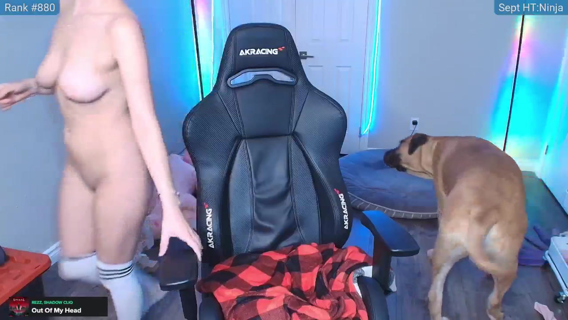Gallery image thumbnail from HaileeCameron's myfreecams stream on, 09/05/2025, 06:54 image 19 of 20
