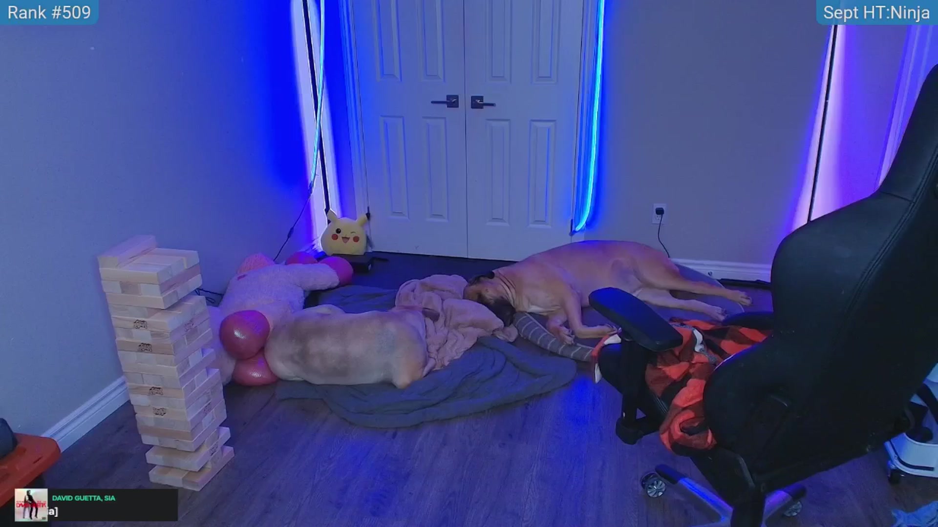 Gallery image thumbnail from HaileeCameron's myfreecams stream on, 09/24/2025, 08:26 image 6 of 20