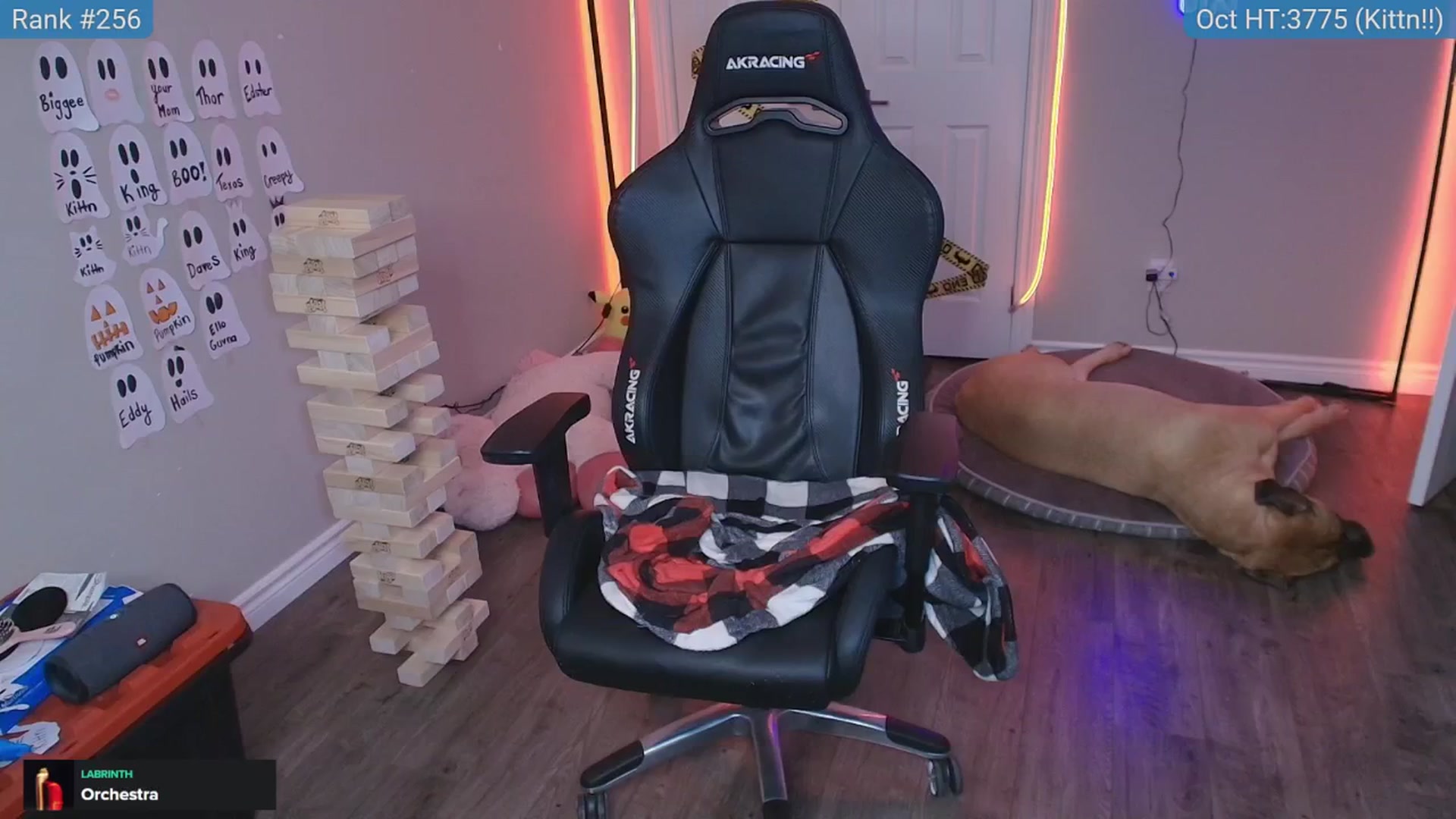 Gallery image thumbnail from HaileeCameron's myfreecams stream on, 10/11/2025, 11:19 image 20 of 20