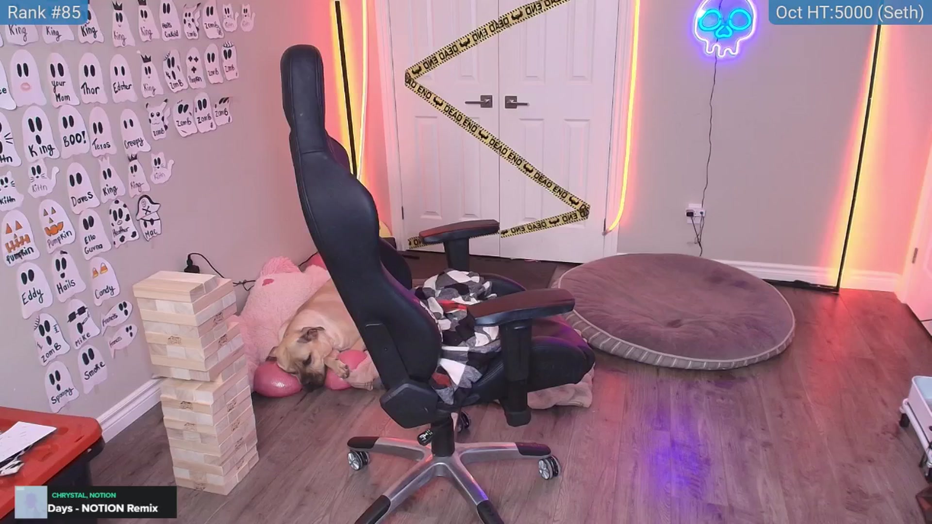 Gallery image thumbnail from HaileeCameron's myfreecams stream on, 11/01/2025, 10:33 image 13 of 20