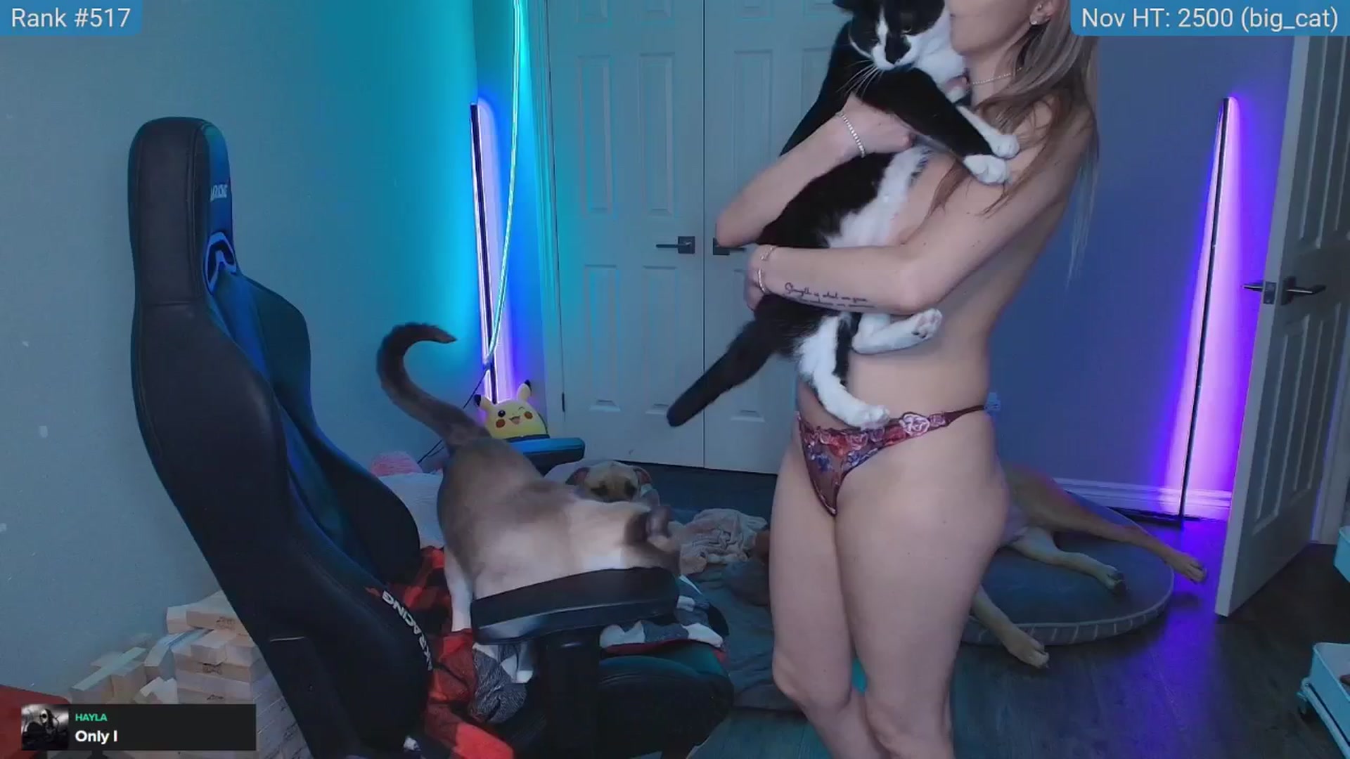 Gallery image thumbnail from HaileeCameron's myfreecams stream on, 11/11/2025, 07:58 image 16 of 20