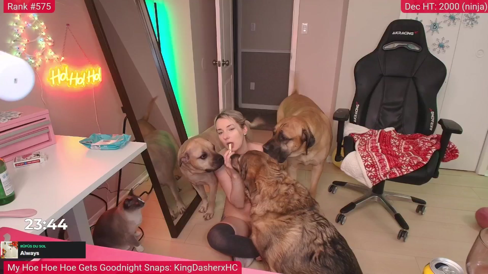 Gallery image thumbnail from HaileeCameron's myfreecams stream on, 12/06/2025, 11:58 image 20 of 20