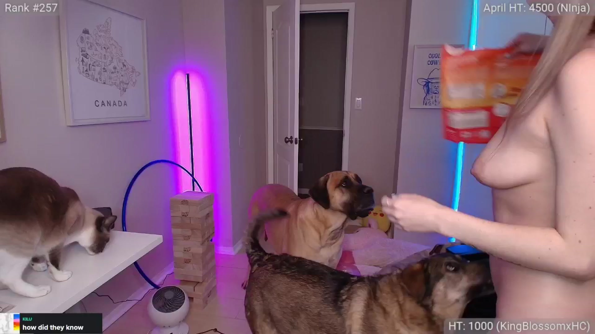 Gallery image thumbnail from HaileeCameron's myfreecams stream on, 04/19/2026, 08:20 image 13 of 20