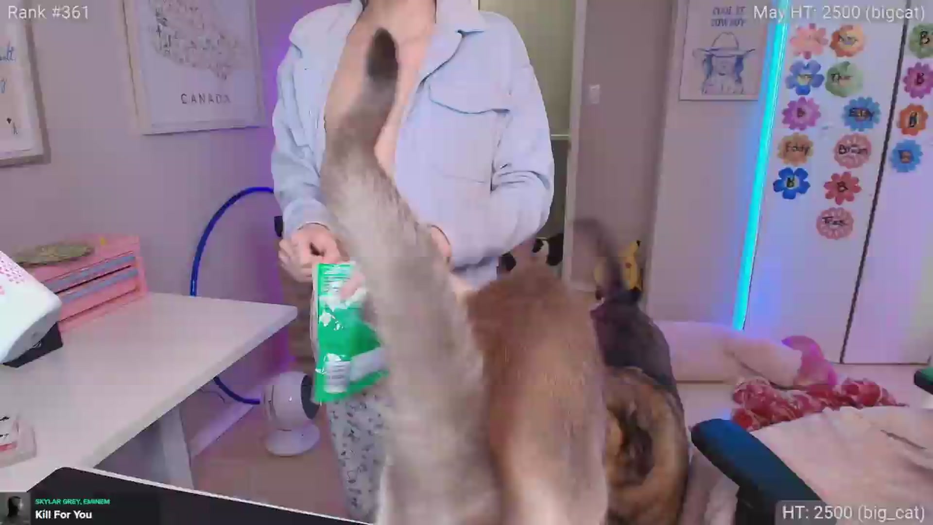 Gallery image thumbnail from HaileeCameron's myfreecams stream on, 05/24/2026, 08:25 image 3 of 20