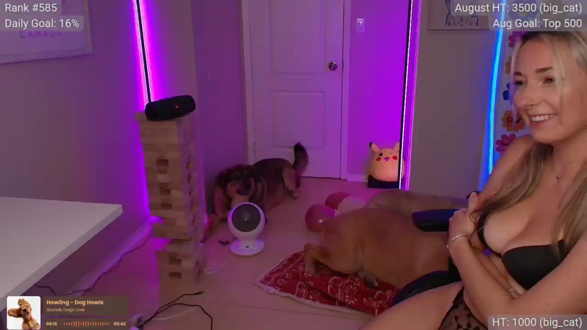 Gallery image thumbnail from HaileeCameron's myfreecams stream on, 09/01/2026, 04:13 image 13 of 20