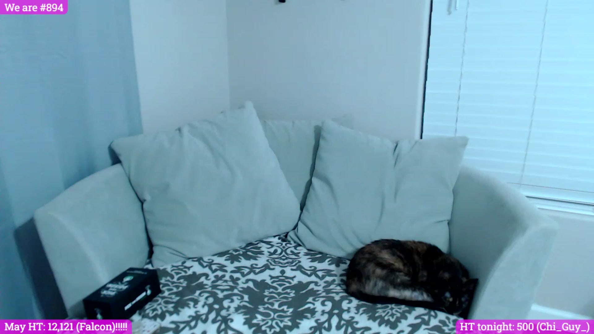 Gallery image thumbnail from HaileyFaye's myfreecams stream on, 06/01/2023, 03:35 image 15 of 20