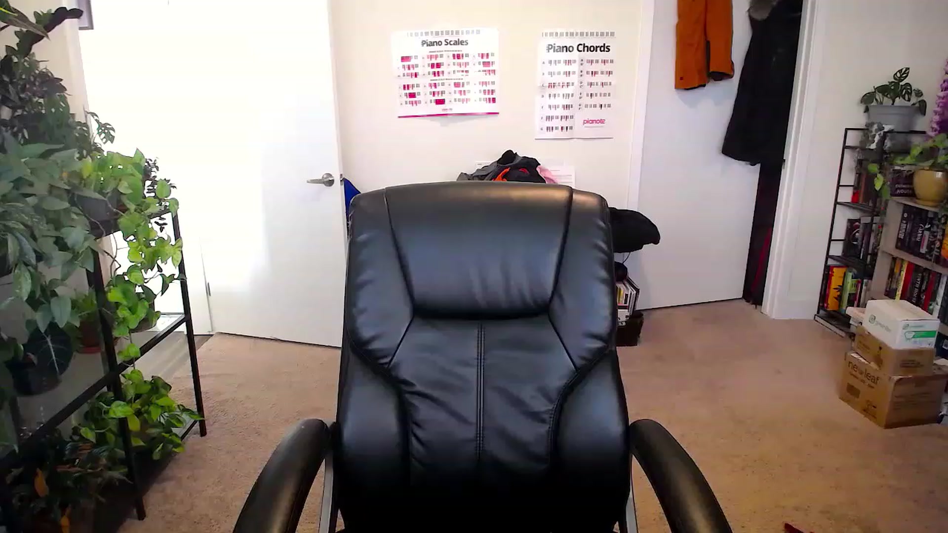 Gallery image thumbnail from HaileyJade's myfreecams stream on, 06/14/2023, 01:08 image 15 of 20