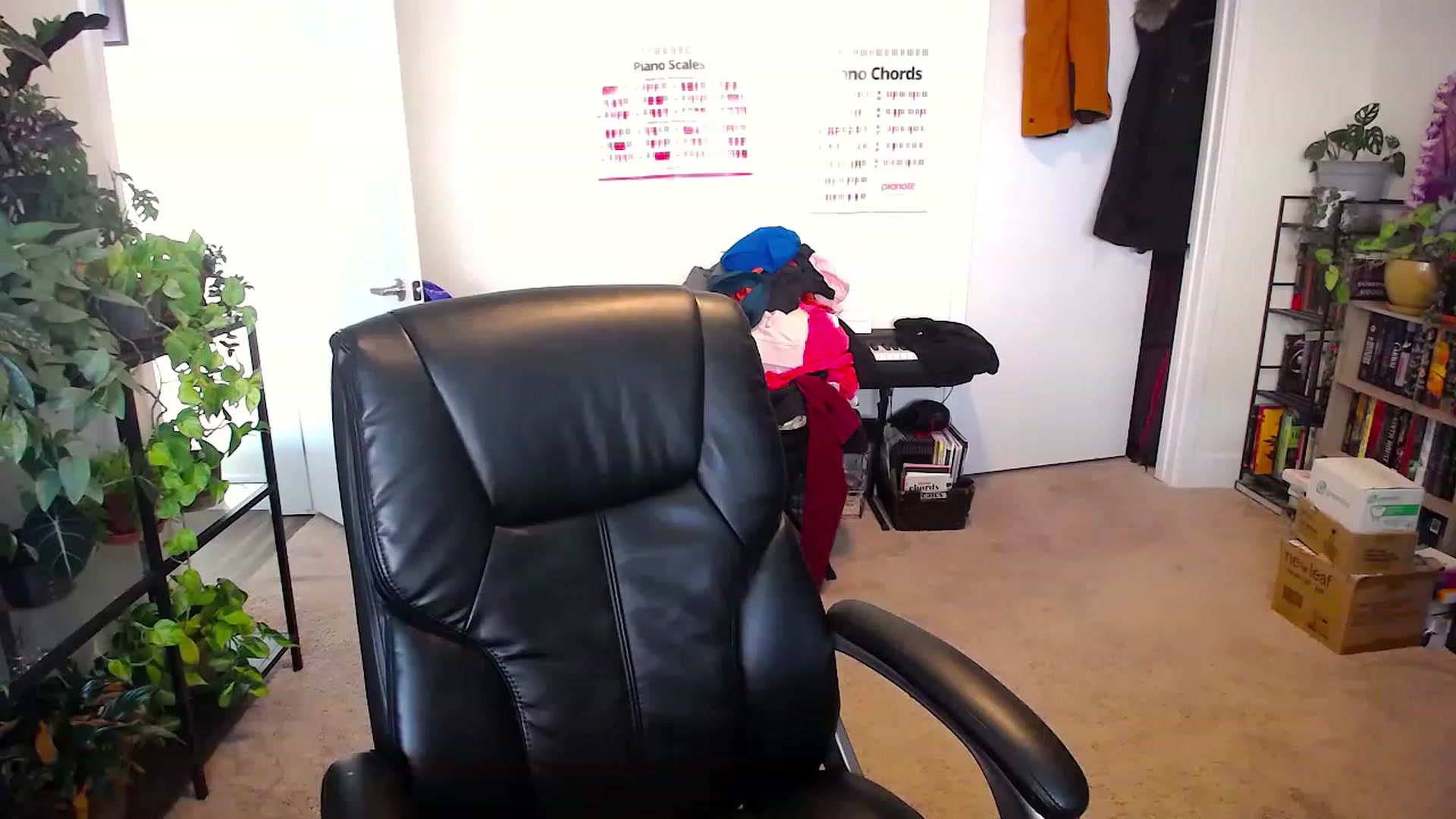 Gallery image thumbnail from HaileyJade's myfreecams stream on, 06/15/2023, 24:21 image 1 of 20