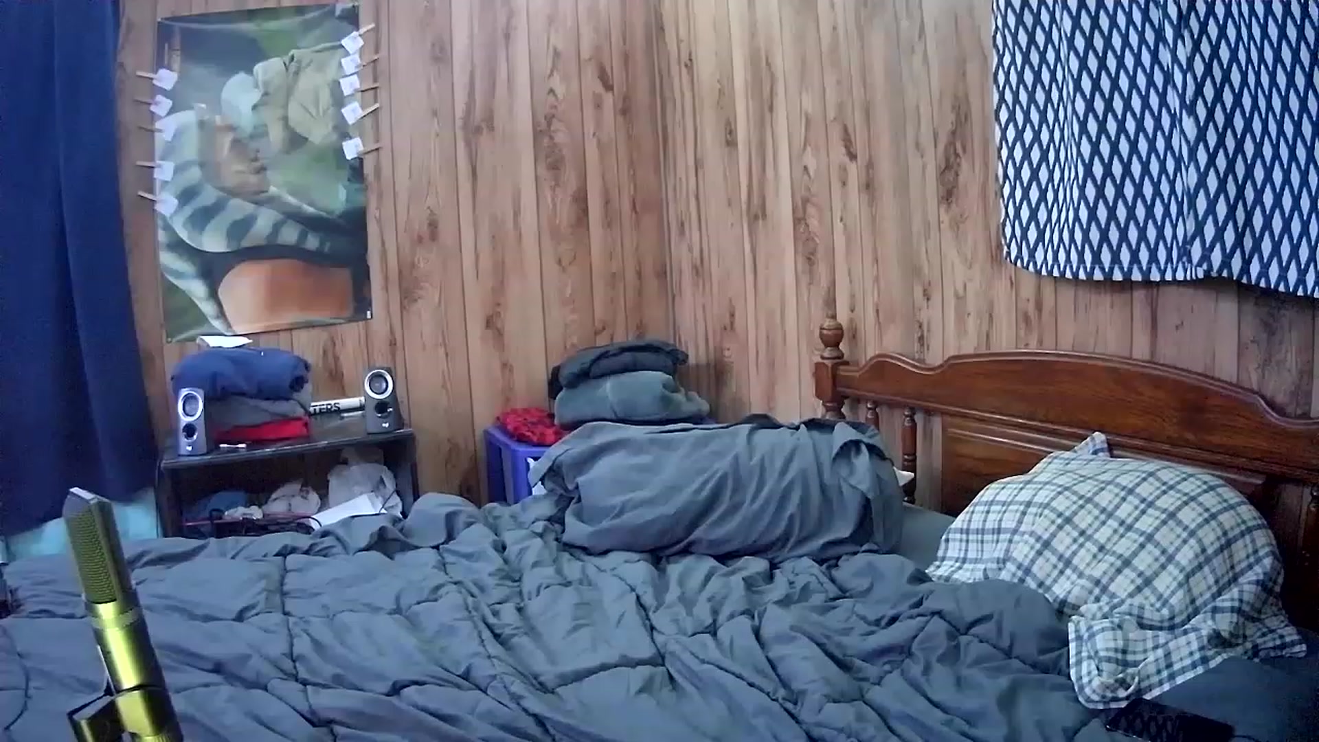 Gallery image thumbnail from HaileyPi's myfreecams stream on, 03/06/2023, 08:28 image 16 of 20