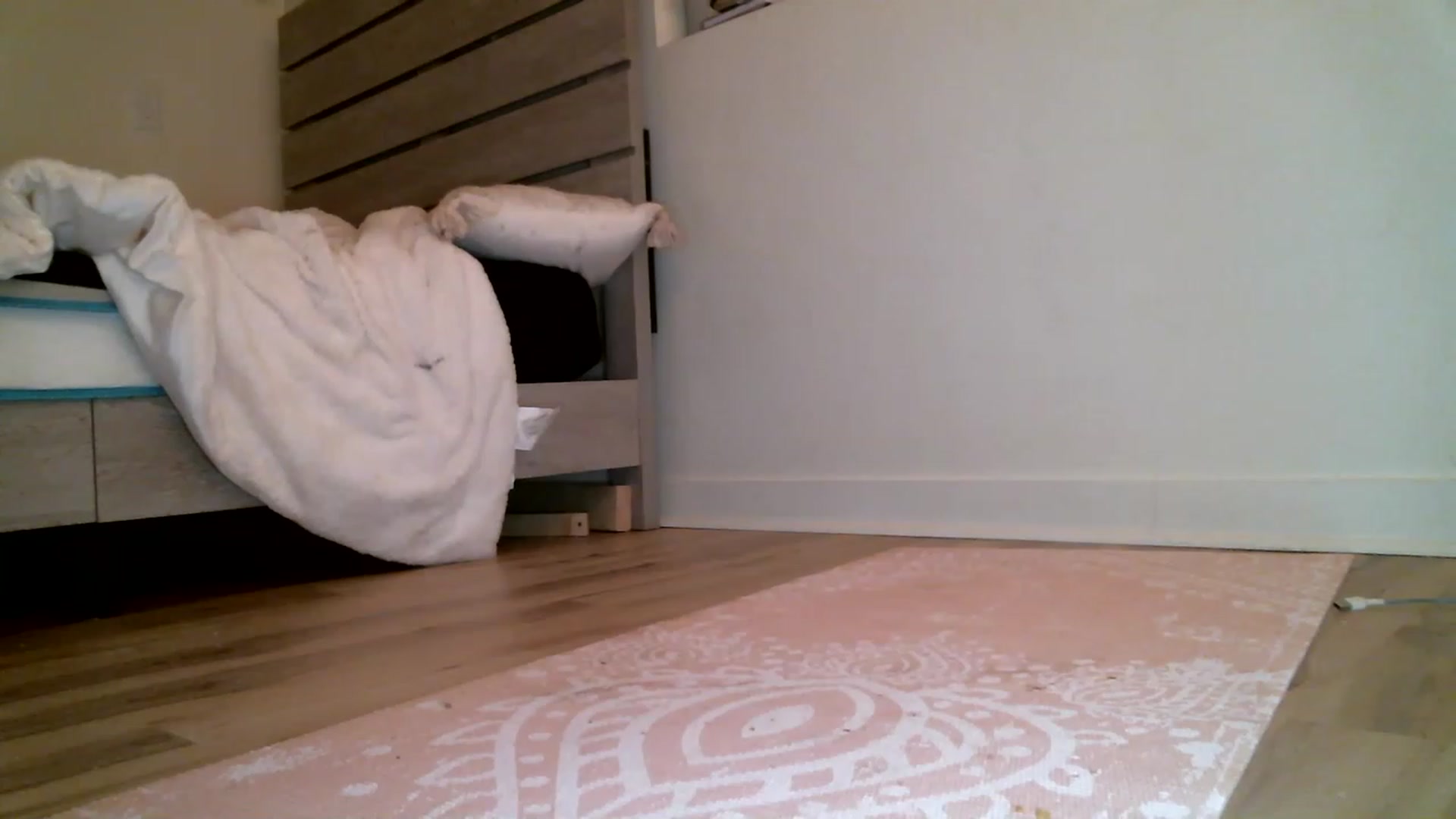 Gallery image thumbnail from HaileyWinters's myfreecams stream on, 03/12/2023, 07:42 image 20 of 20