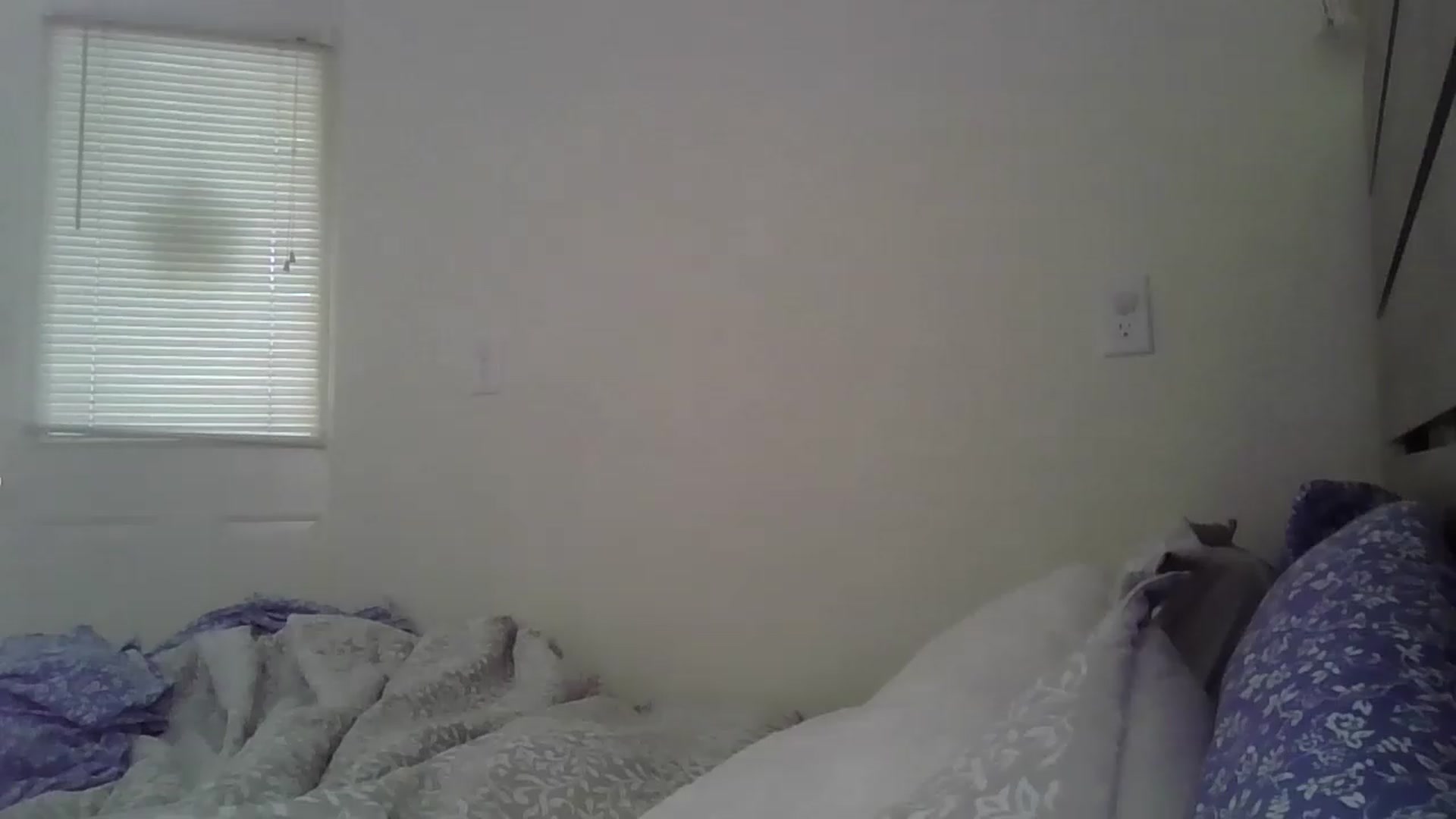 Gallery image thumbnail from HaileyWinters's myfreecams stream on, 05/31/2023, 18:57 image 1 of 20