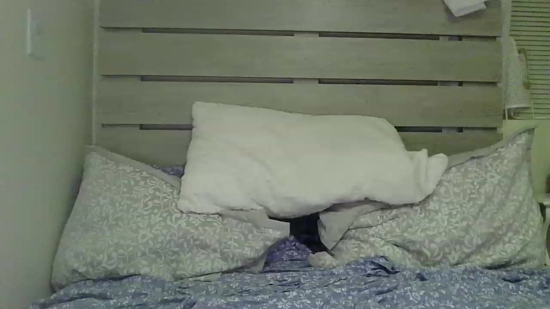 Gallery image thumbnail from HaileyWinters's myfreecams stream on, 06/04/2023, 04:28 image 10 of 20