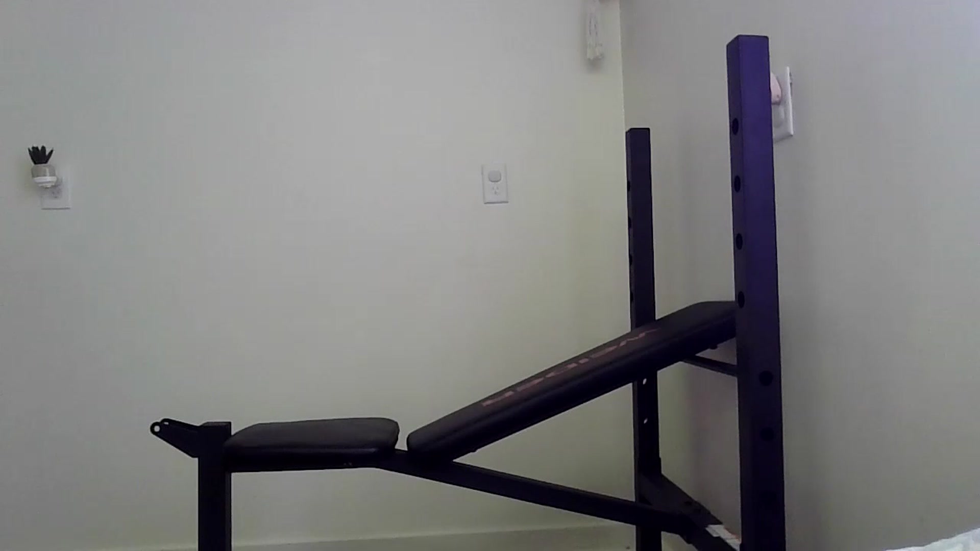 Gallery image thumbnail from HaileyWinters's myfreecams stream on, 06/20/2023, 16:52 image 20 of 20