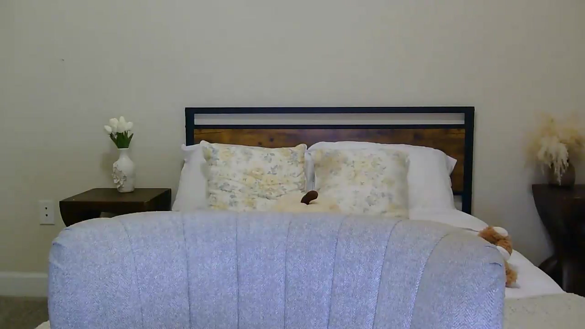 Gallery image thumbnail from HaileyWinters's myfreecams stream on, 08/26/2026, 06:40 image 18 of 20