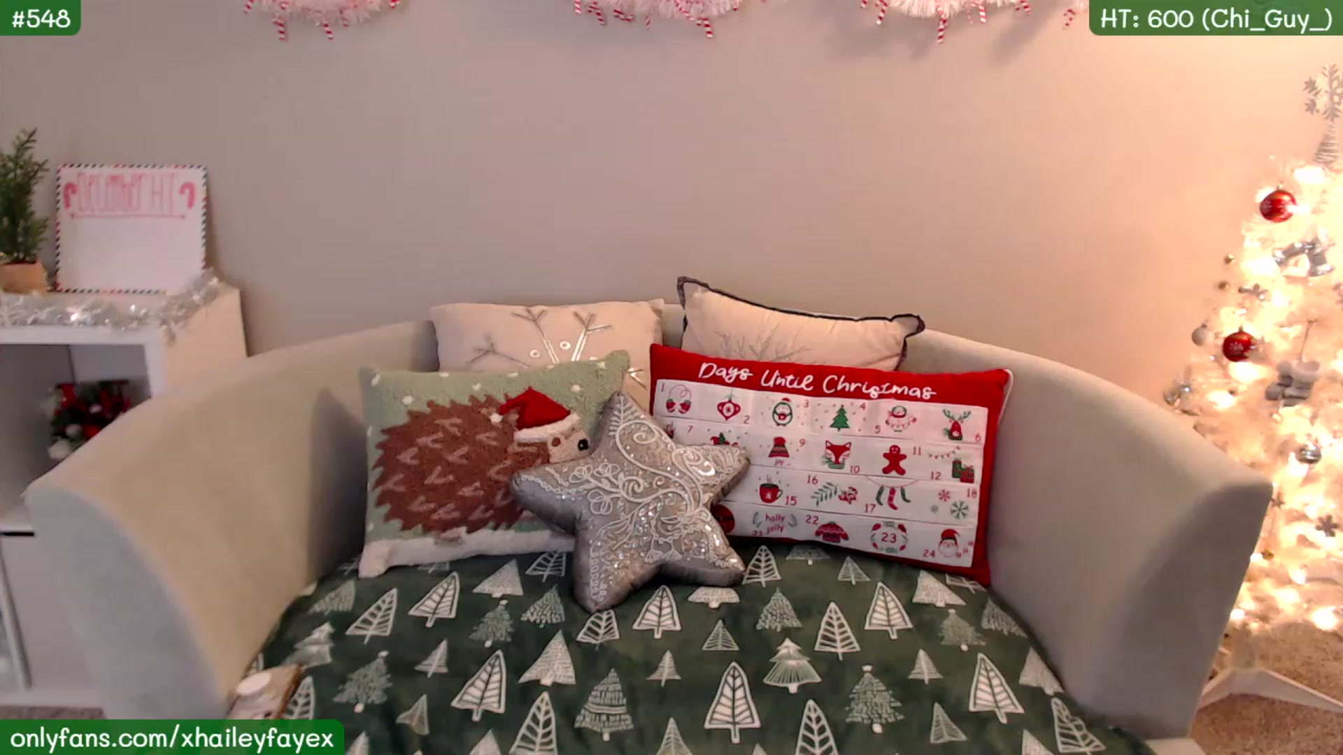 Gallery image thumbnail from Hailey_Faye's myfreecams stream on, 12/03/2022, 05:30 image 20 of 20