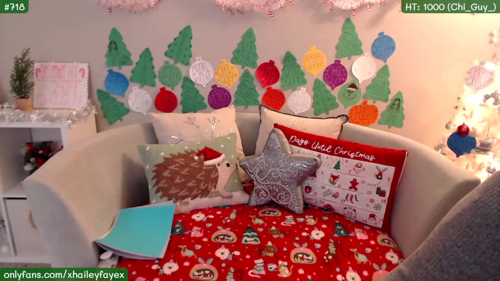 Gallery image thumbnail from Hailey_Faye's myfreecams stream on, 12/21/2022, 02:28 image 20 of 20