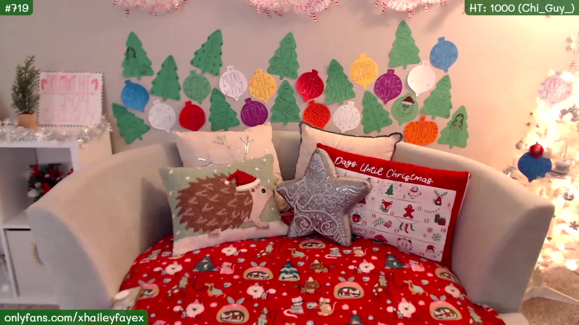 Gallery image thumbnail from Hailey_Faye's myfreecams stream on, 12/21/2022, 02:28 image 16 of 20
