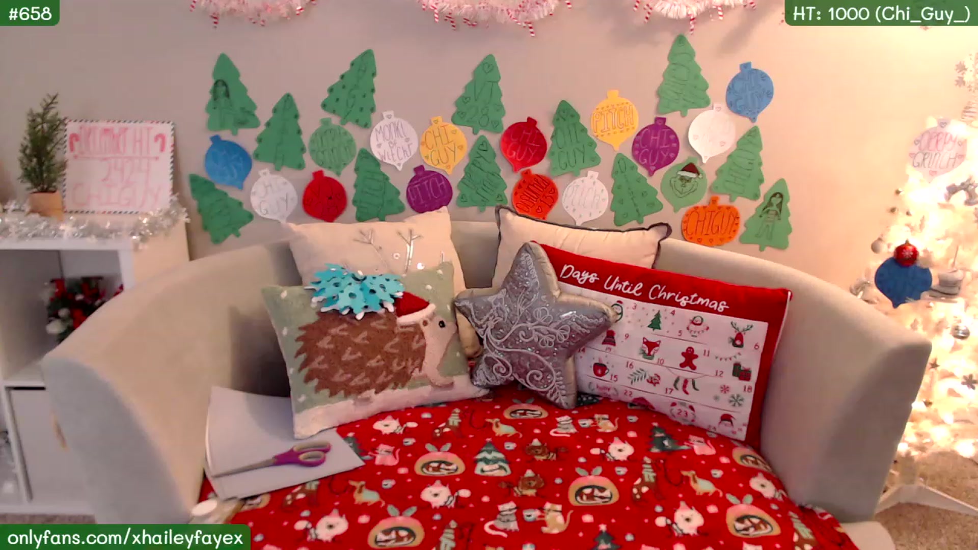 Gallery image thumbnail from Hailey_Faye's myfreecams stream on, 12/21/2022, 06:16 image 15 of 20