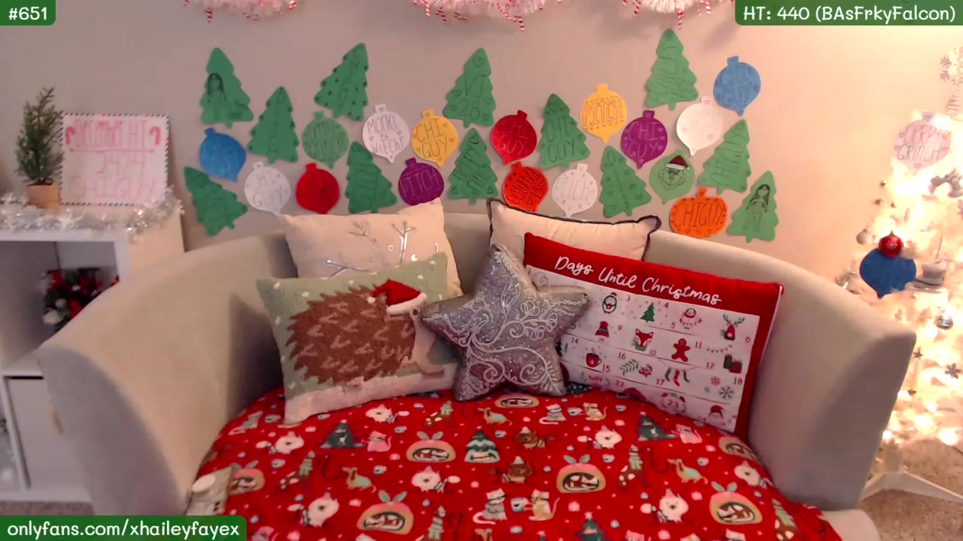Gallery image thumbnail from Hailey_Faye's myfreecams stream on, 12/22/2022, 01:43 image 2 of 20