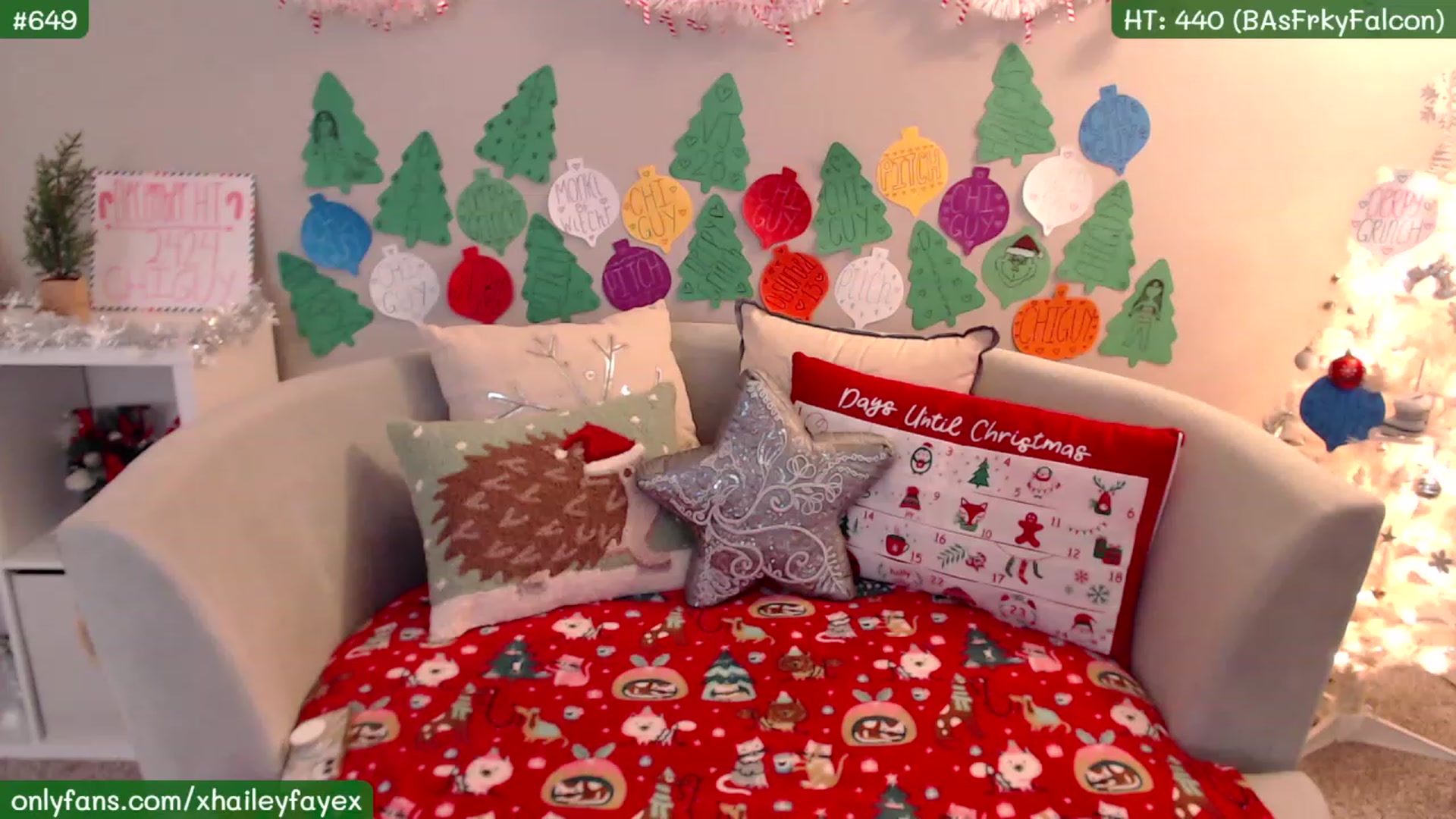Gallery image thumbnail from Hailey_Faye's myfreecams stream on, 12/22/2022, 01:43 image 16 of 20