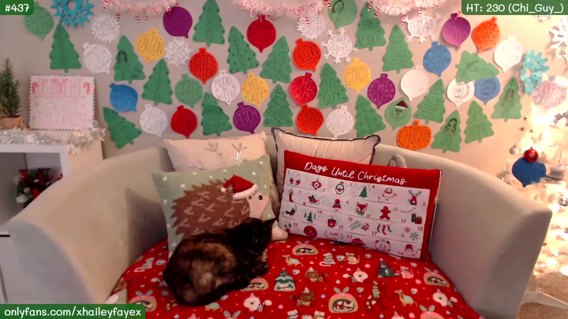 Gallery image thumbnail from Hailey_Faye's myfreecams stream on, 01/01/2023, 05:52 image 5 of 20