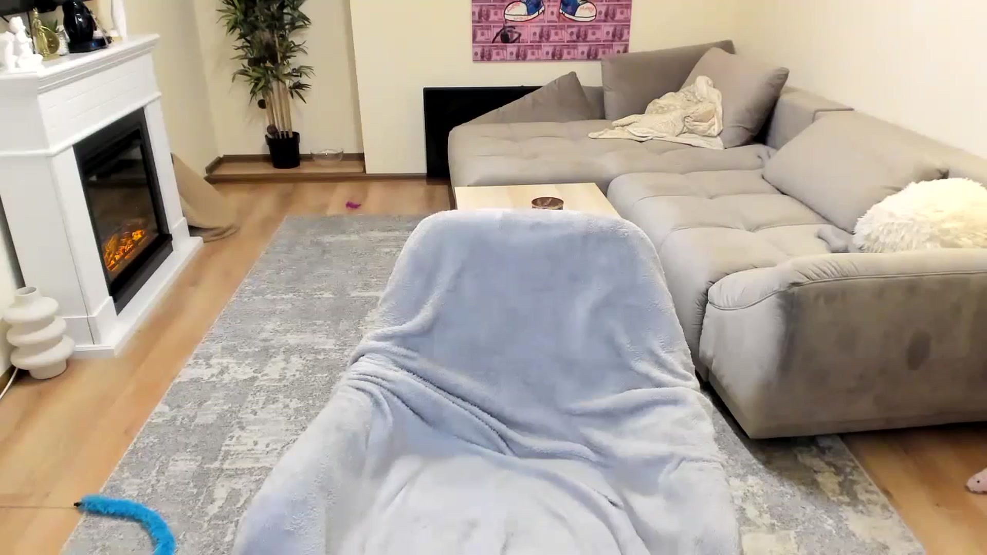 Gallery image thumbnail from Hailey_Honeyy's myfreecams stream on, 10/04/2023, 19:38 image 13 of 20