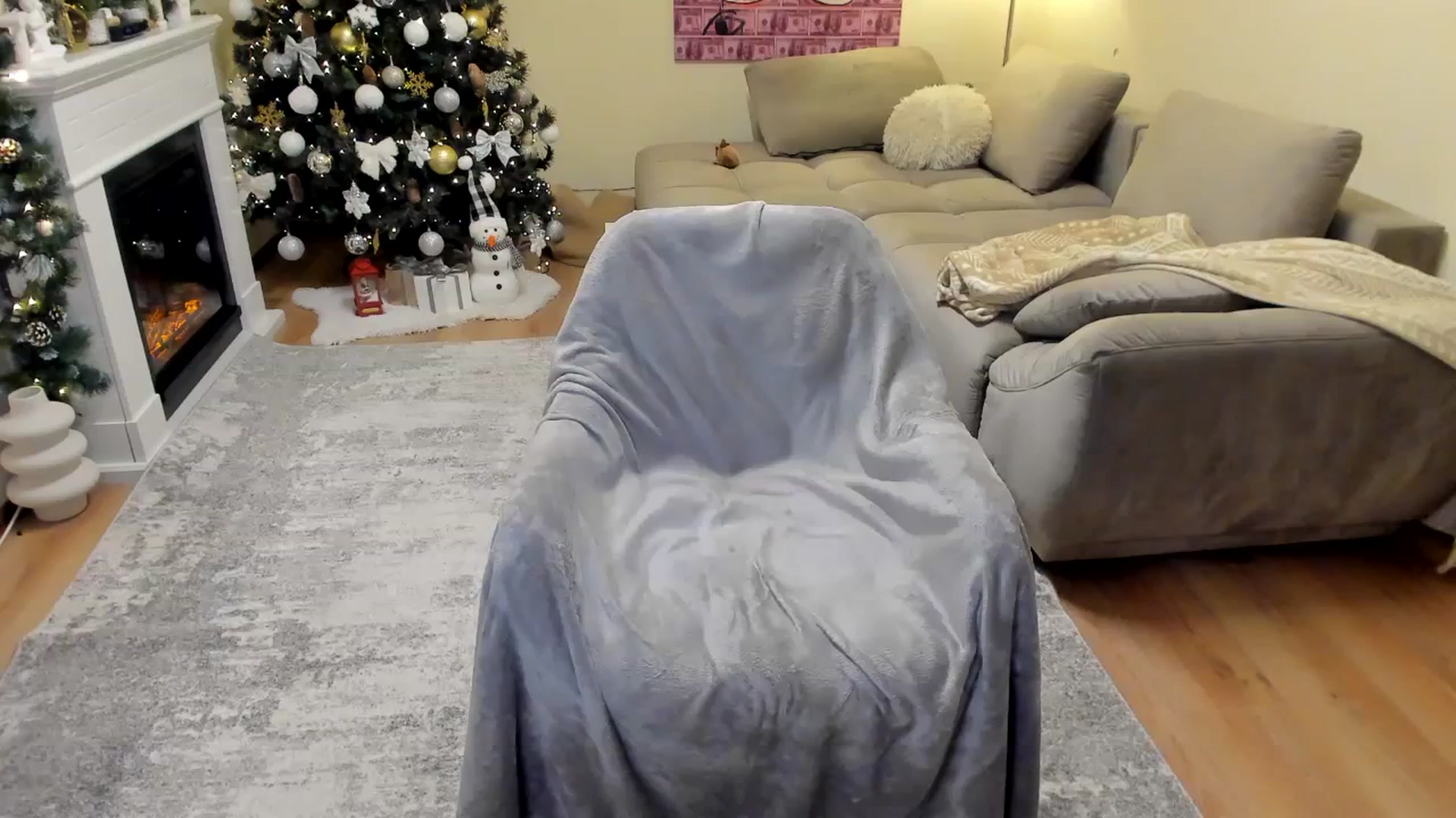 Gallery image thumbnail from Hailey_Honeyy's myfreecams stream on, 11/27/2023, 19:18 image 19 of 20