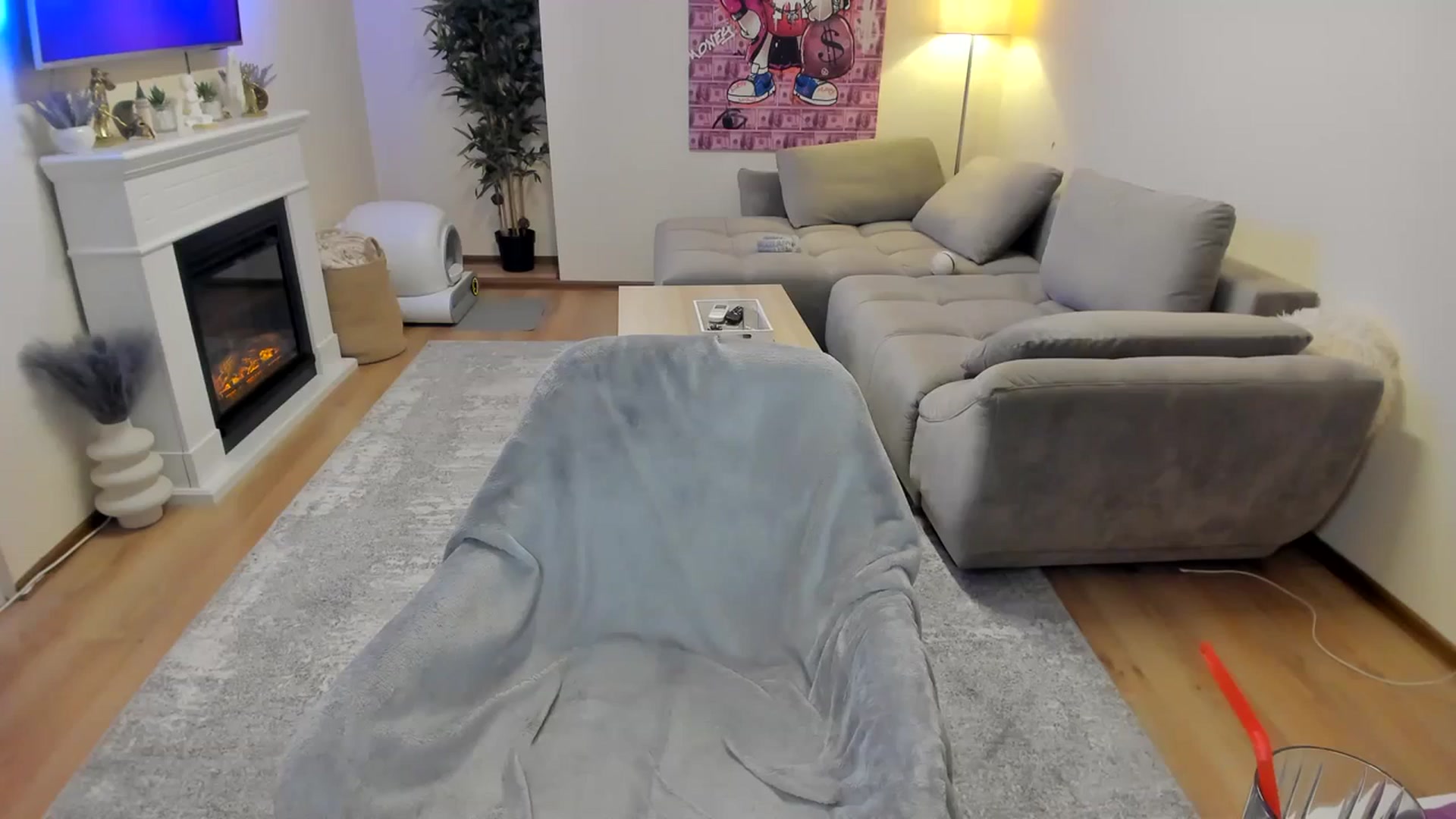Gallery image thumbnail from Hailey_Honeyy's myfreecams stream on, 03/06/2024, 19:21 image 14 of 20