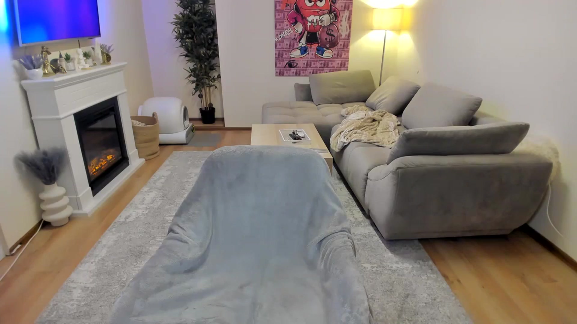 Gallery image thumbnail from Hailey_Honeyy's myfreecams stream on, 03/13/2024, 18:54 image 18 of 20