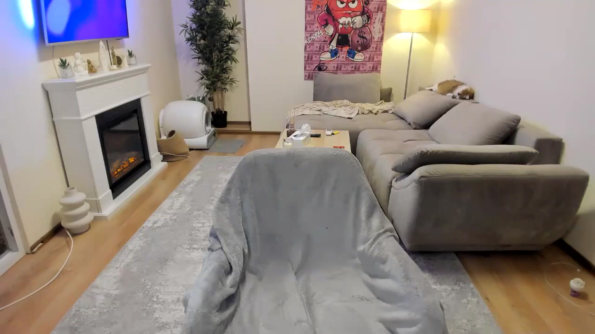 Gallery image thumbnail from Hailey_Honeyy's myfreecams stream on, 11/18/2024, 17:47 image 15 of 20