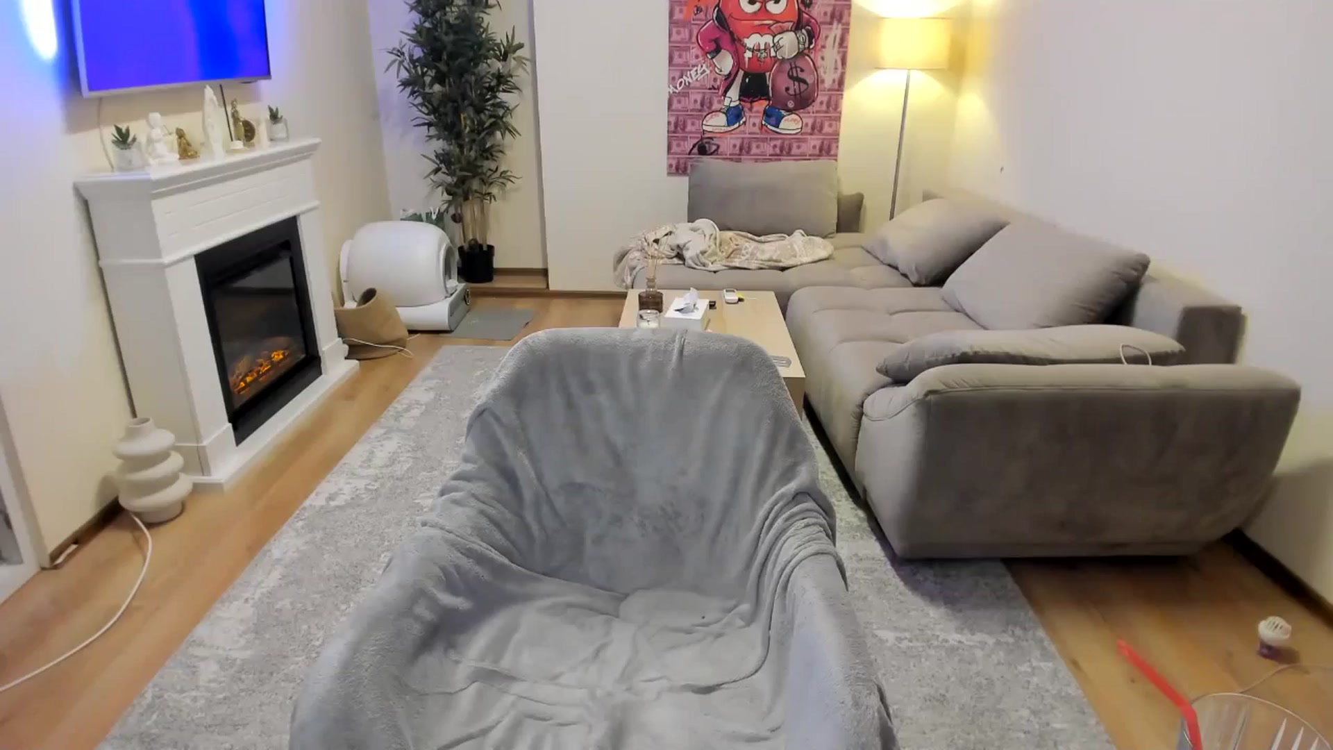 Gallery image thumbnail from Hailey_Honeyy's myfreecams stream on, 11/19/2024, 17:52 image 12 of 20