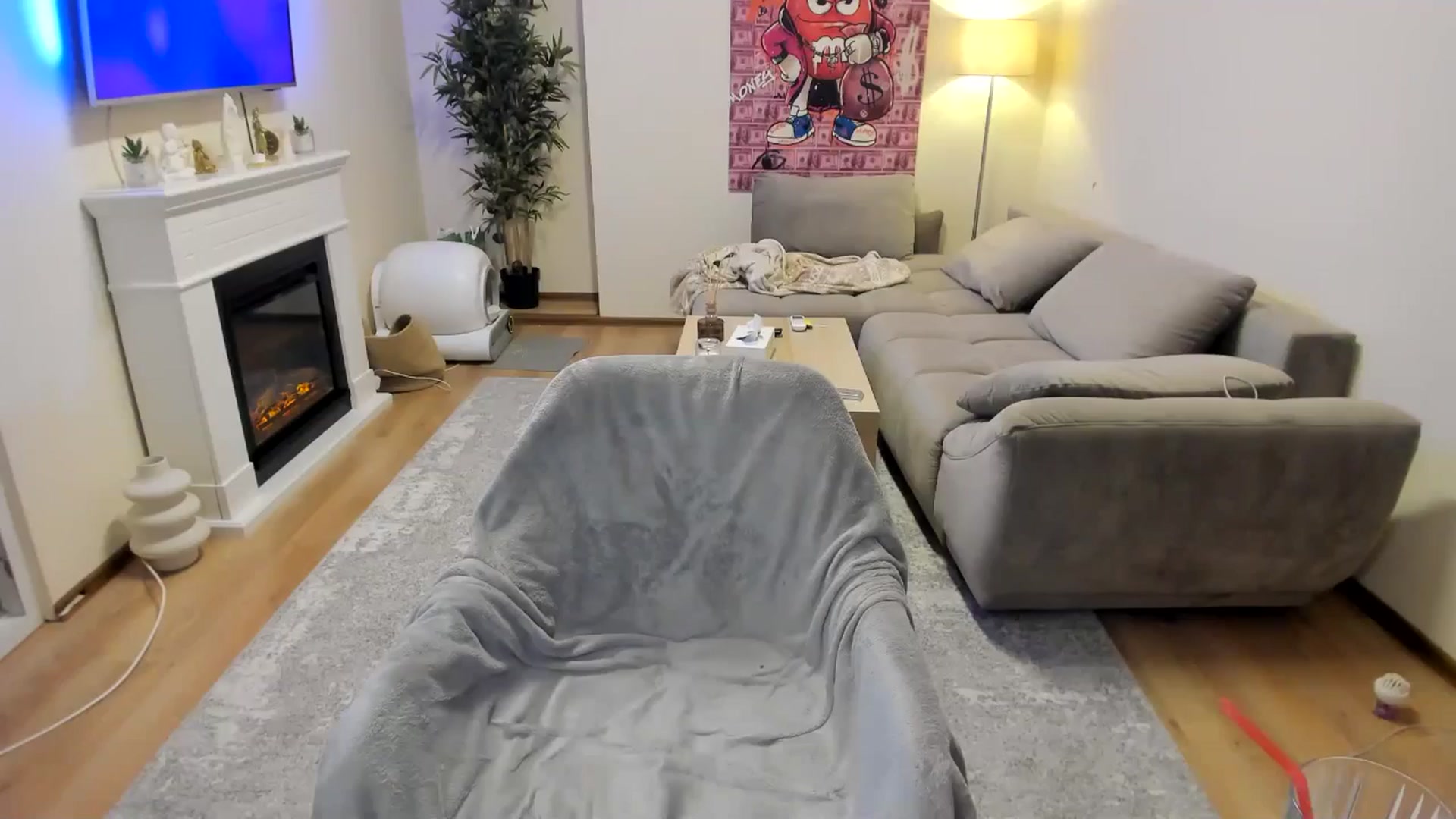 Gallery image thumbnail from Hailey_Honeyy's myfreecams stream on, 11/19/2024, 17:52 image 14 of 20