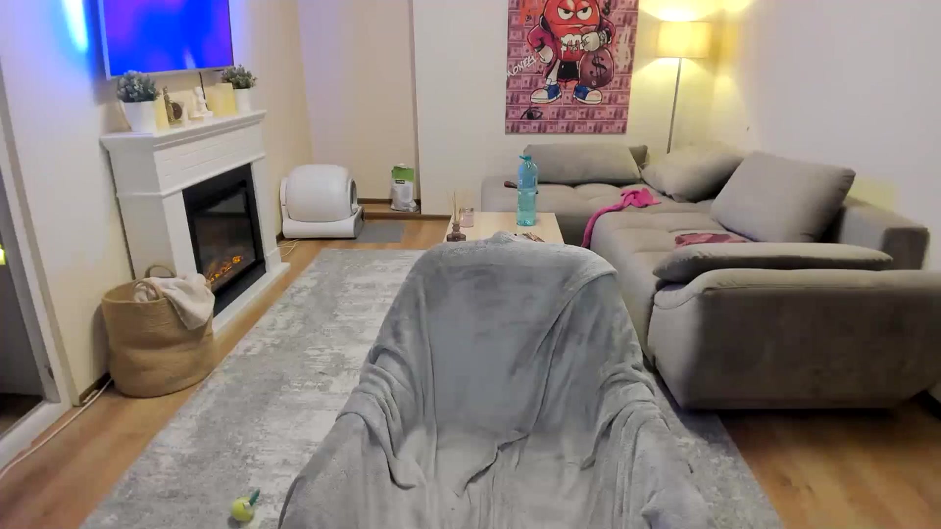 Gallery image thumbnail from Hailey_Honeyy's myfreecams stream on, 01/29/2025, 23:05 image 18 of 20