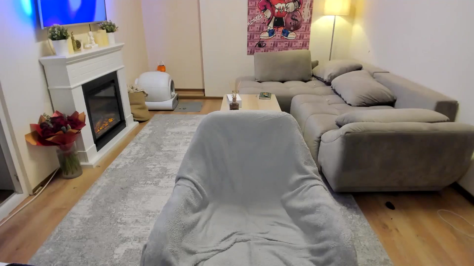 Gallery image thumbnail from Hailey_Honeyy's myfreecams stream on, 02/17/2025, 23:09 image 18 of 20