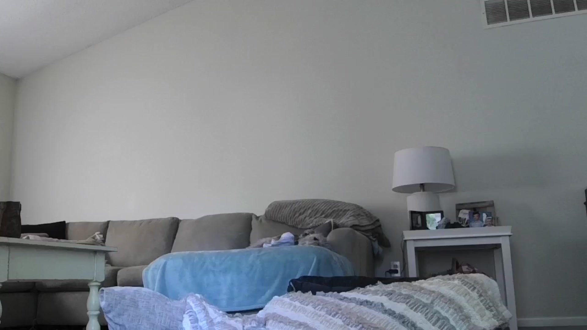 Gallery image thumbnail from Hailey_Love_'s myfreecams stream on, 05/16/2024, 15:49 image 13 of 20