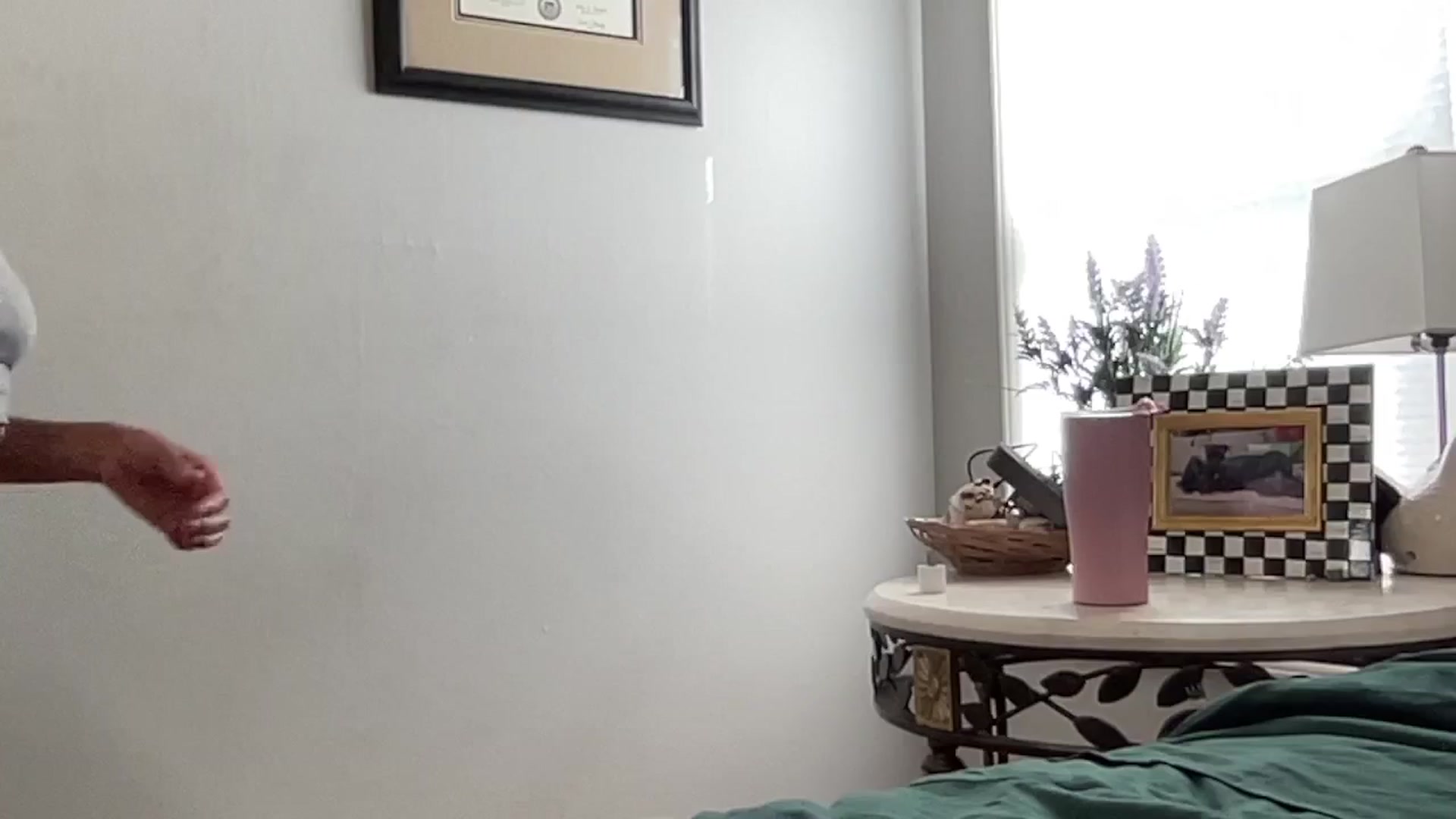 Gallery image thumbnail from Hailey_Love_'s myfreecams stream on, 08/21/2024, 15:39 image 9 of 20