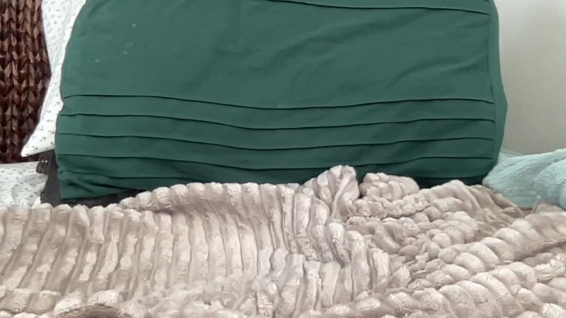 Gallery image thumbnail from Hailey_Love_'s myfreecams stream on, 08/22/2024, 16:38 image 13 of 20