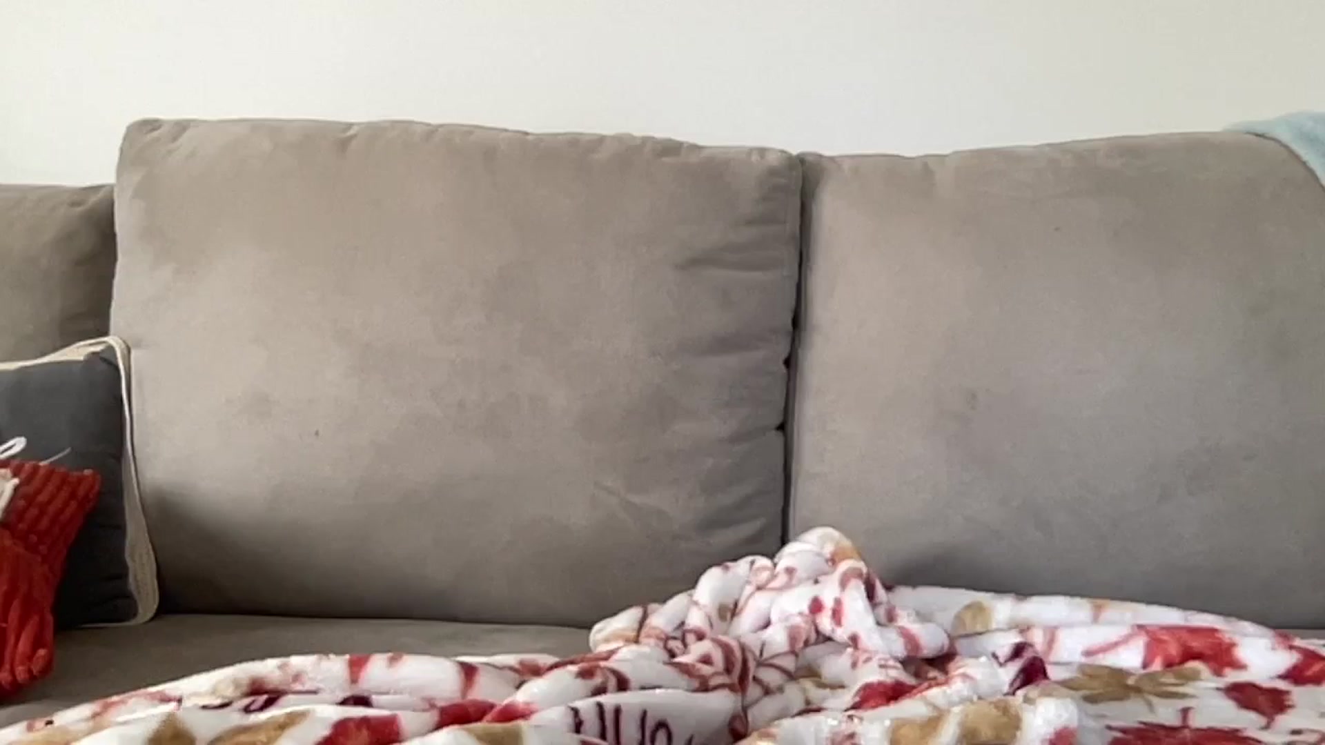 Gallery image thumbnail from Hailey_Love_'s myfreecams stream on, 09/03/2024, 15:39 image 15 of 20