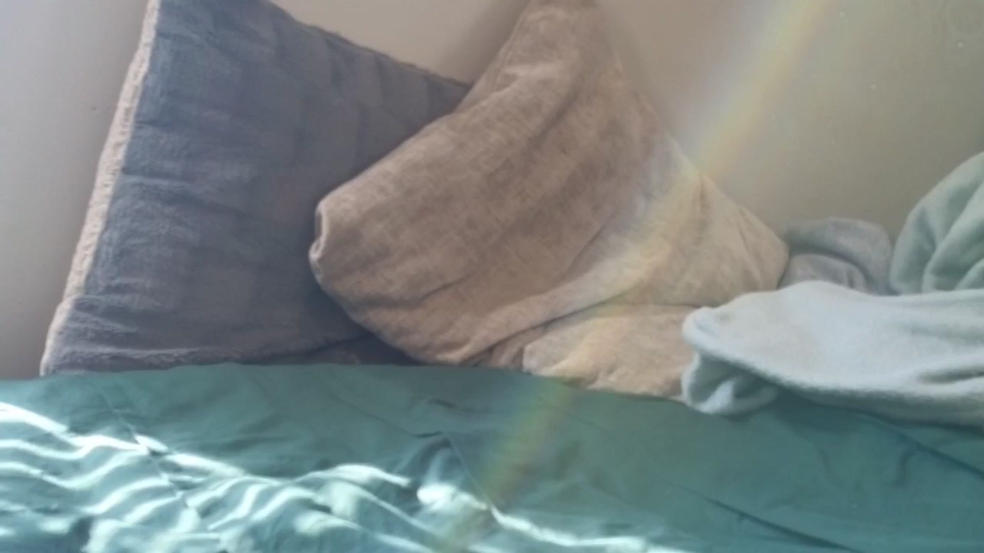 Gallery image thumbnail from Hailey_Love_'s myfreecams stream on, 10/29/2024, 19:08 image 14 of 20