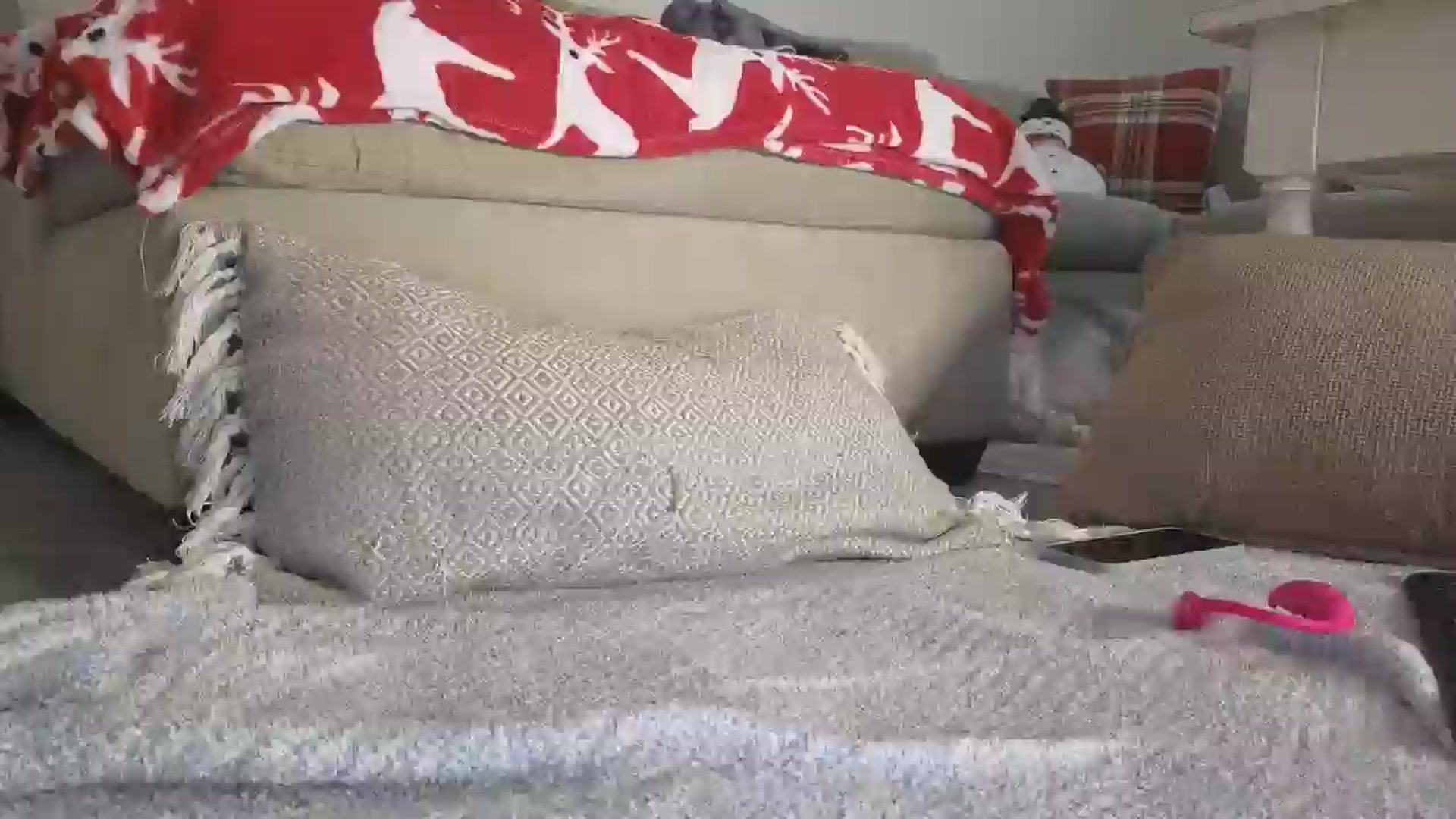 Gallery image thumbnail from Hailey_Love_'s myfreecams stream on, 11/20/2024, 16:56 image 12 of 20