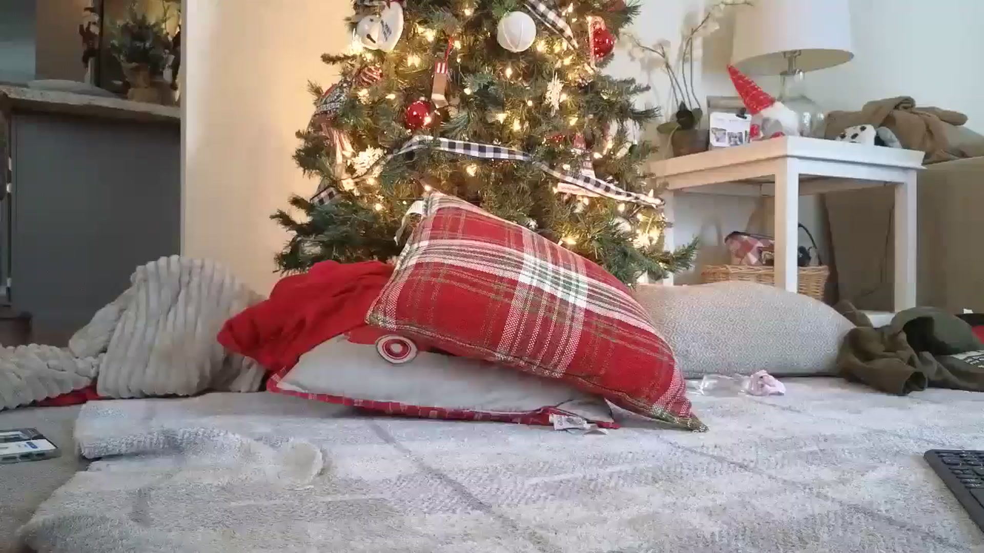 Gallery image thumbnail from Hailey_Love_'s myfreecams stream on, 12/20/2024, 16:56 image 12 of 20