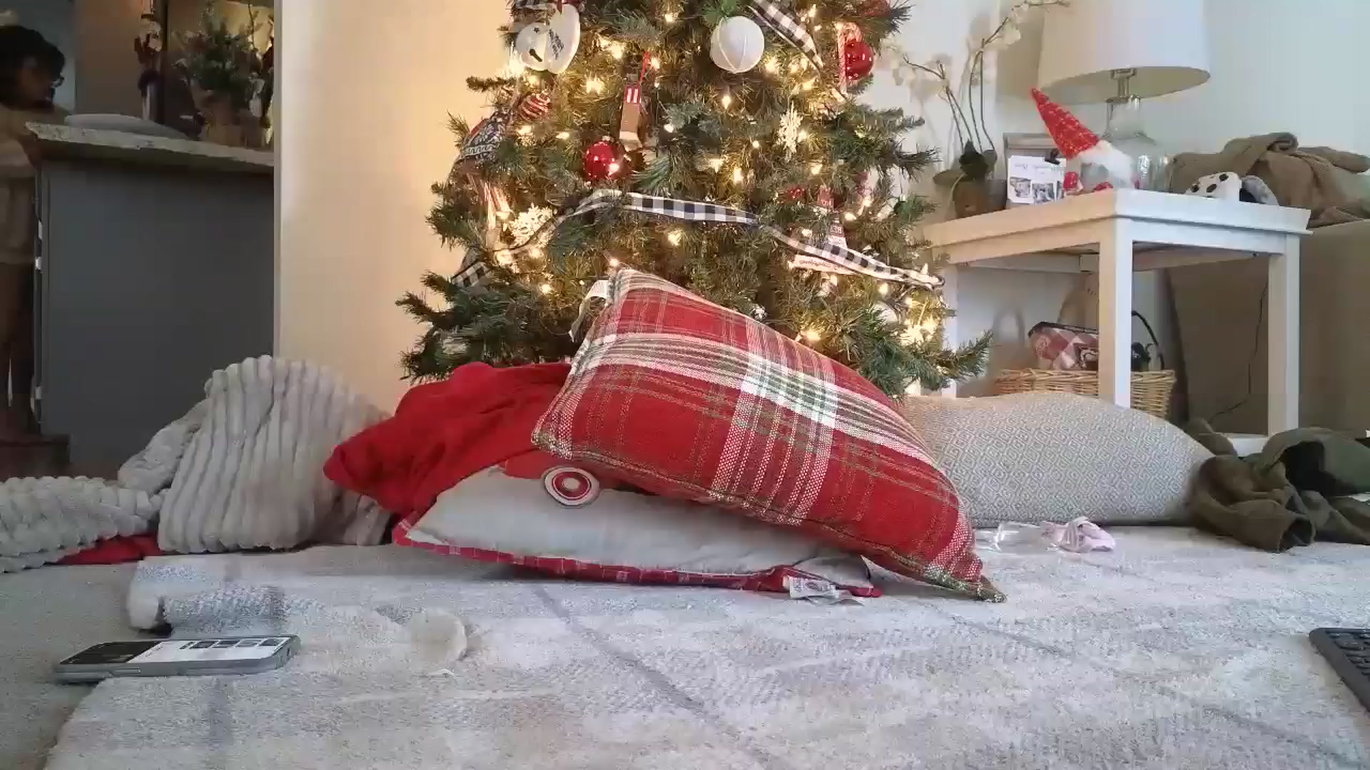 Gallery image thumbnail from Hailey_Love_'s myfreecams stream on, 12/20/2024, 16:56 image 13 of 20