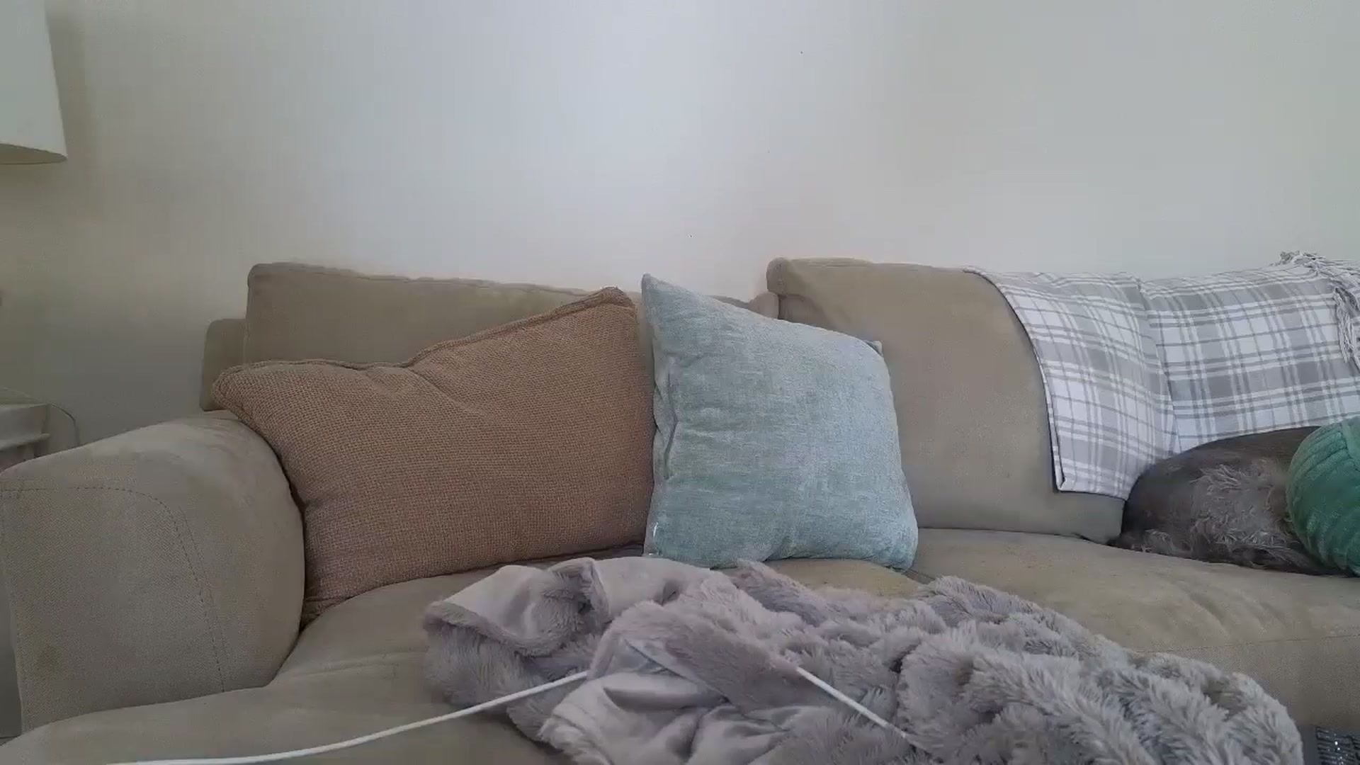 Gallery image thumbnail from Hailey_Love_'s myfreecams stream on, 01/23/2025, 17:16 image 5 of 20